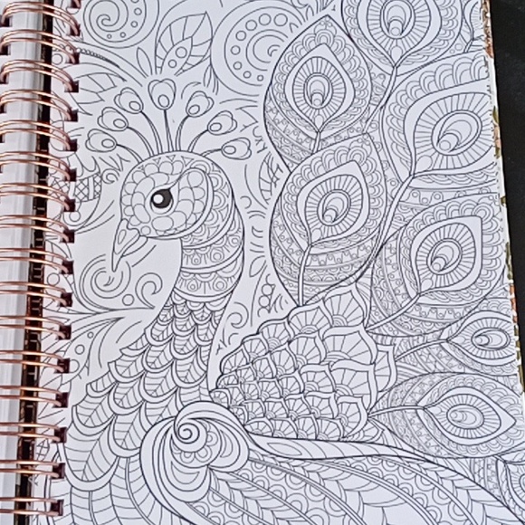 Devotional Coloring Book with Spiral Bound Text And Pictures 312 Pages - Picture 8 of 8